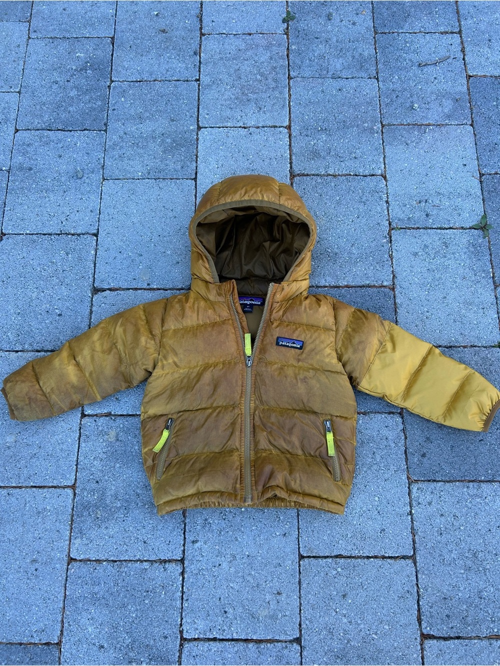 Patagonia Kids Hi-Loft Down Hooded Puffer Jacket 2T